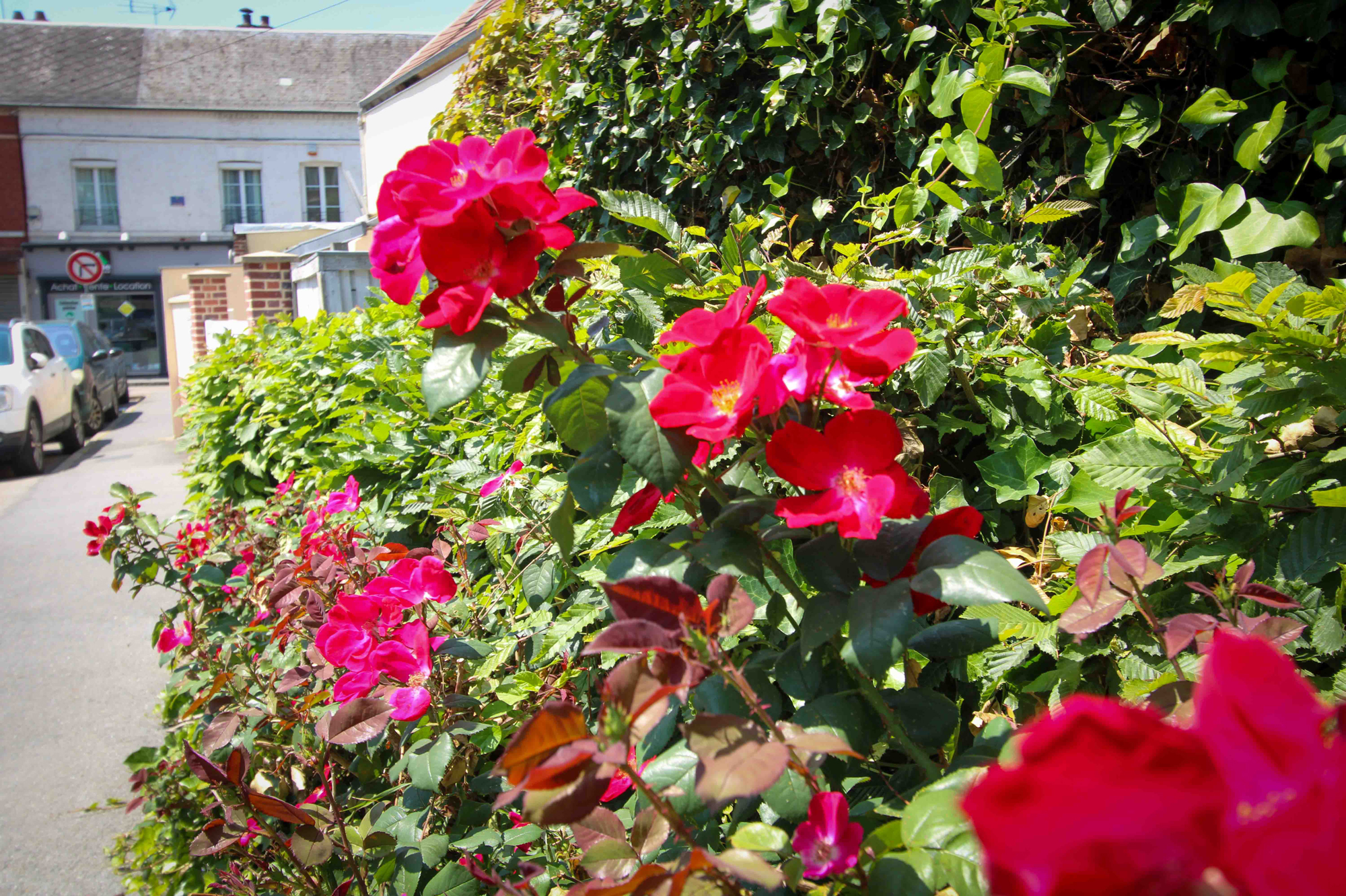  rue Berthelot