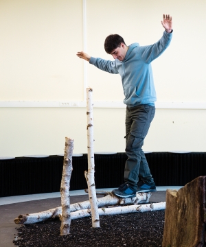 alerte blaireau dégats